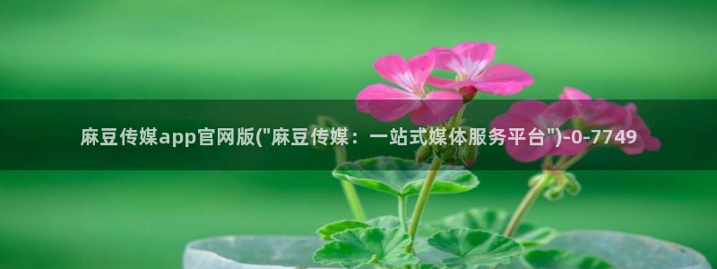 麻豆视频文章内容