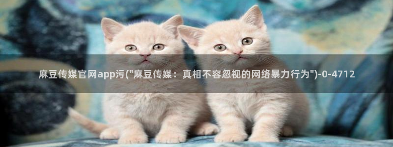 麻豆视频资料维护