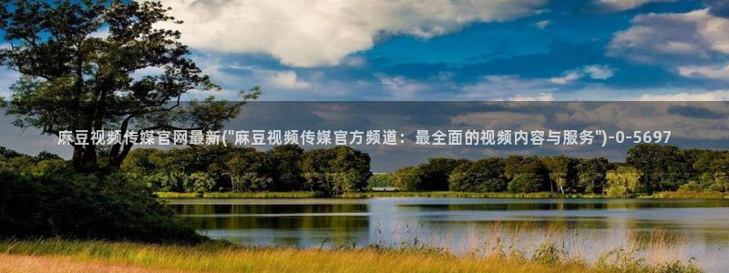 麻豆视频资料文案