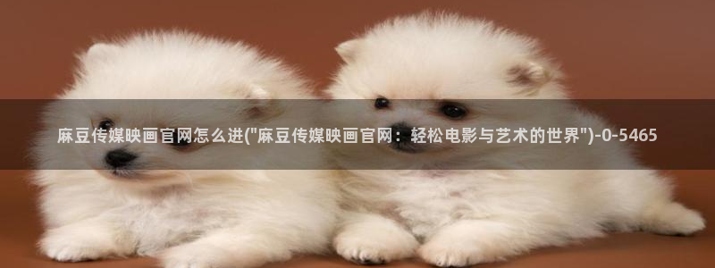 麻豆视频