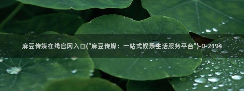 麻豆专题描述