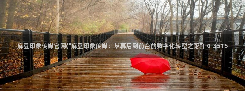 麻豆视频资讯文案