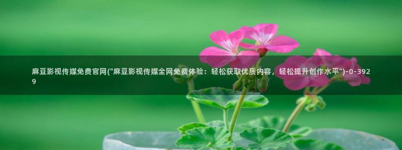 麻豆视频分类规则