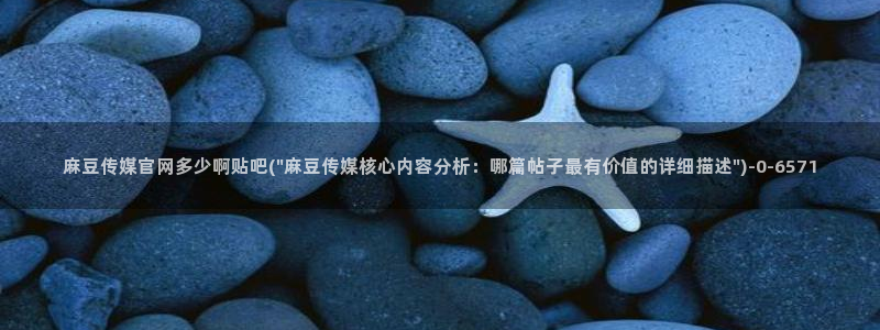 麻豆视频指南文案