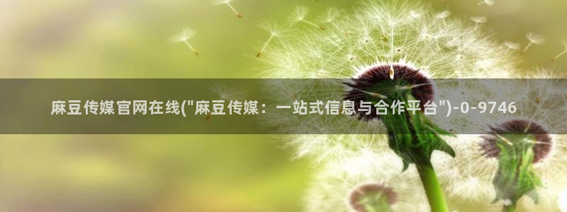 麻豆视频合集整理