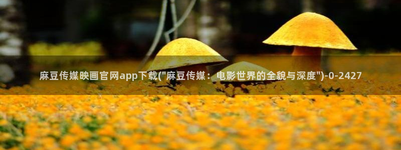 麻豆幕后花絮