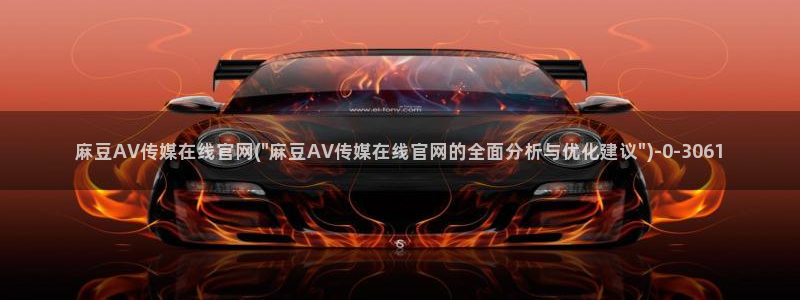 麻豆演员描述
