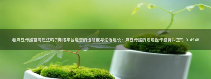麻豆视频盘点文案