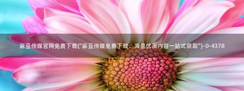 麻豆内容页