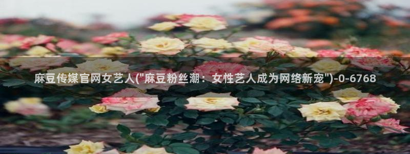 麻豆传媒视频