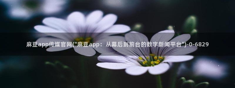 麻豆视频SEO词库