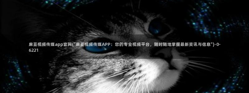 麻豆视频在线看