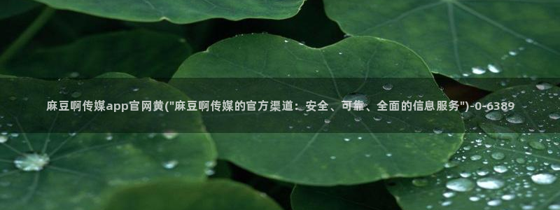 麻豆视频排行文案