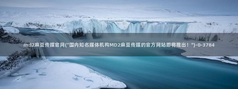 麻豆视频入口