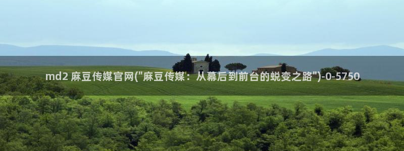 麻豆视频