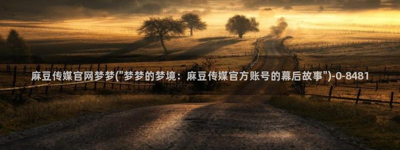 麻豆视频栏目文案