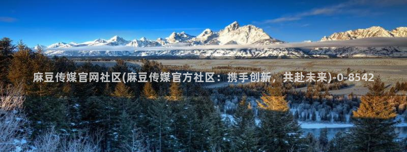 麻豆热门演员