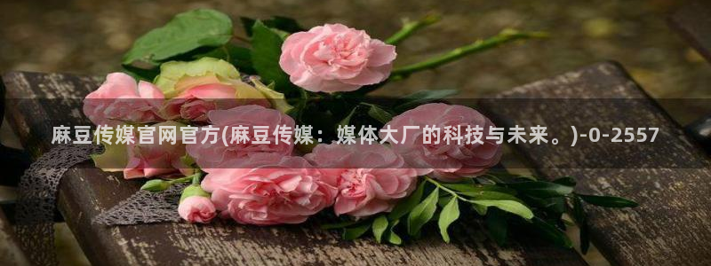 麻豆视频排行文案