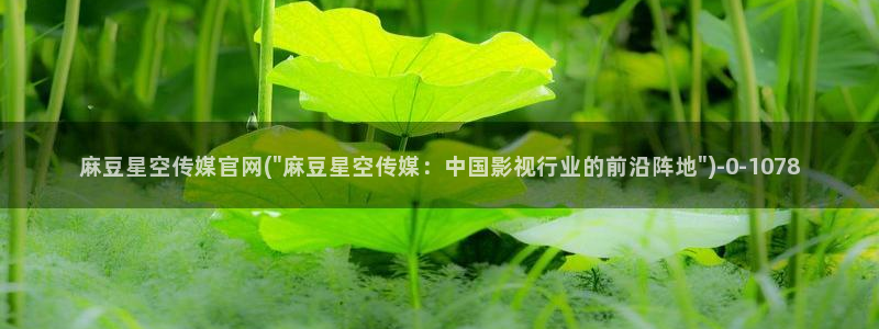 麻豆视频图片规则