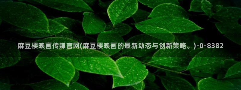 麻豆演员描述