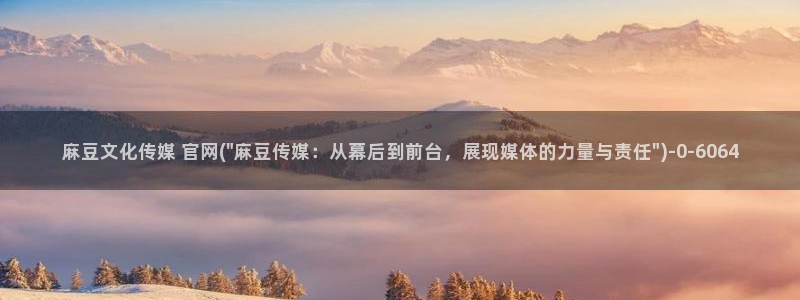 麻豆视频采集