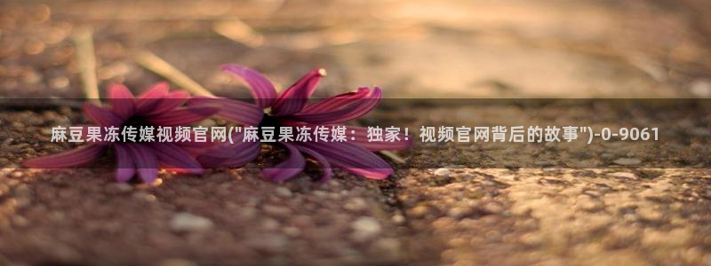 麻豆视频关于我们