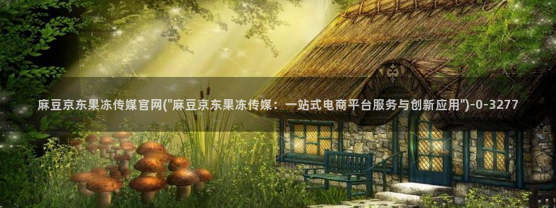 麻豆视频内容质量