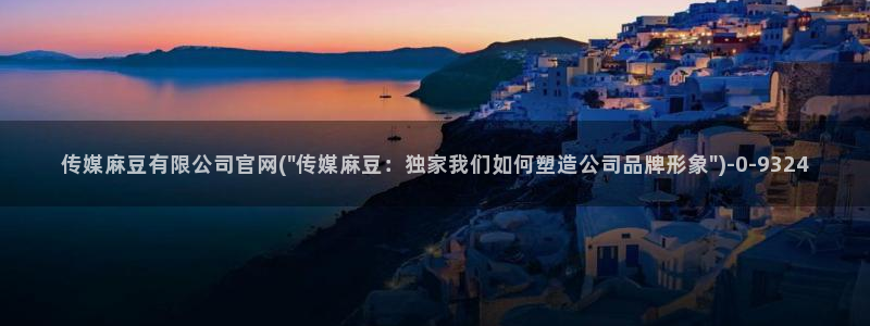 麻豆视频页面描述