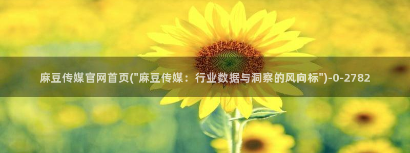 麻豆视频资源站