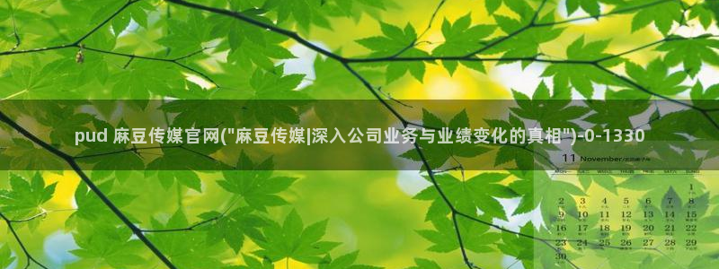 麻豆视频资讯文案