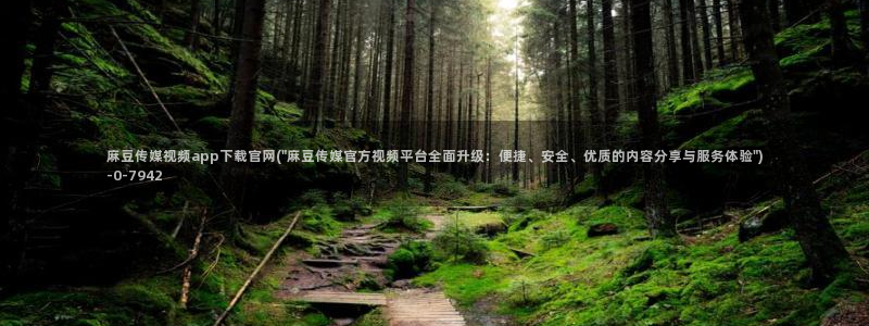 麻豆影视专题