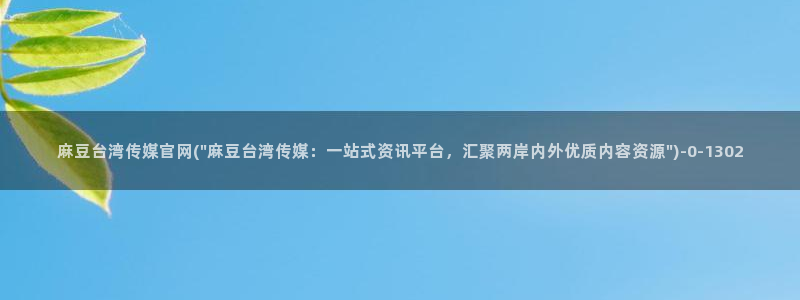 麻豆视频资料文案