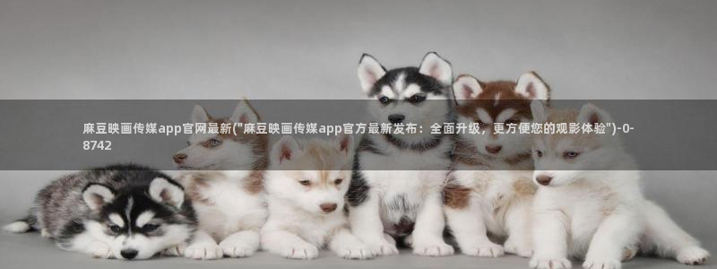 麻豆内容整理