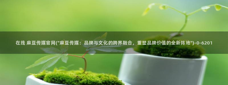 麻豆系列观看顺序