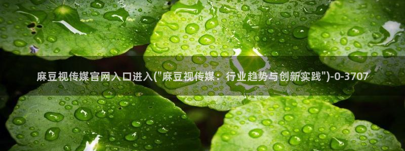 麻豆视频模板