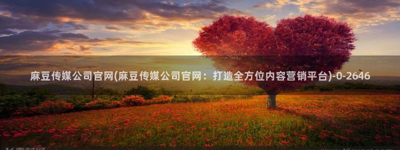 麻豆人物关系