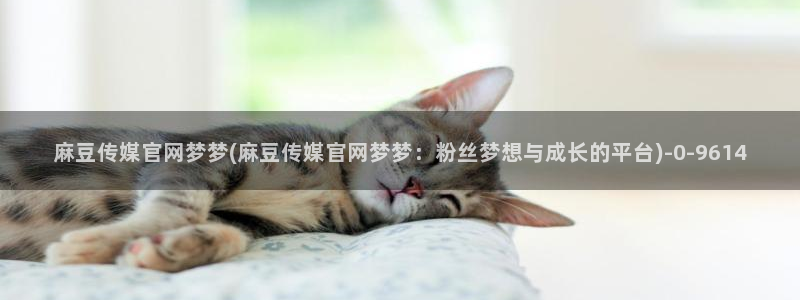 麻豆分类库