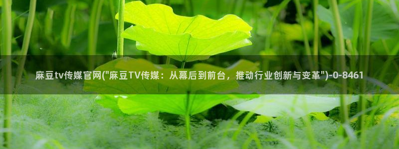 麻豆视频相关推荐词
