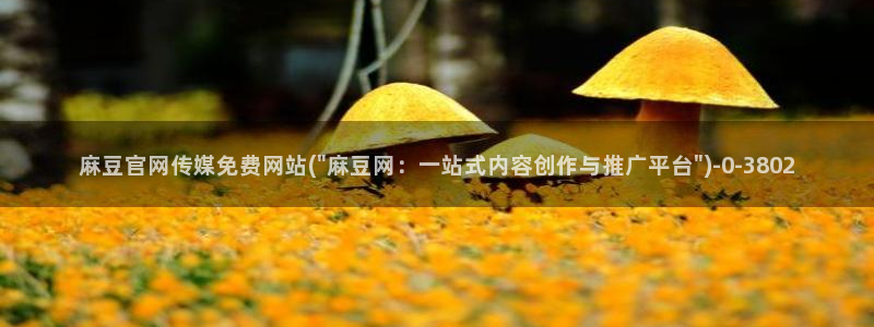 麻豆专题描述