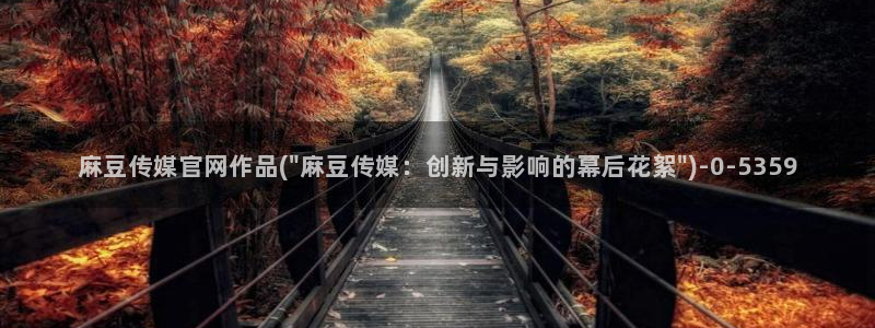 麻豆视频版权说明